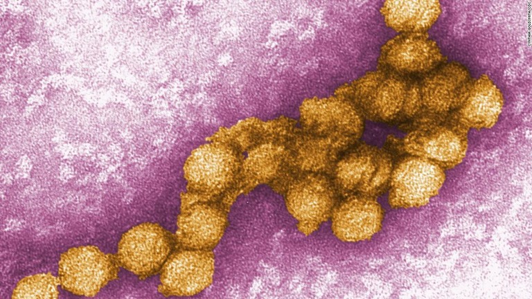 米カリフォルニア州の１３郡で西ナイル熱のウイルスが確認された/Cynthia Goldsmith/CDC