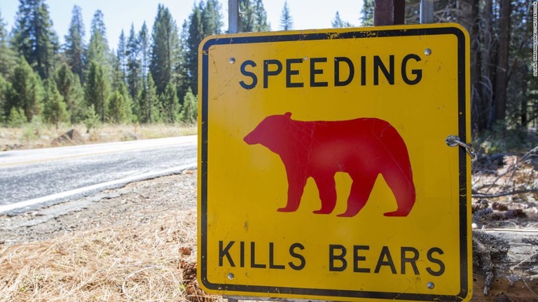 速度を守るよう呼びかける道路標識＝米ヨセミテ国立公園/Global Warming Images/Shutterstock