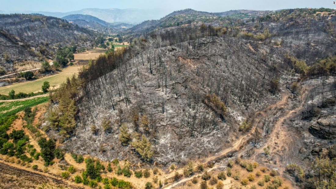 マナウガト付近の山火事被害の様子を空撮=30日/AP