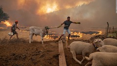 ギリシャで４７度超、欧州南部で続く記録的猛暑　山火事多発で大気汚染も悪化