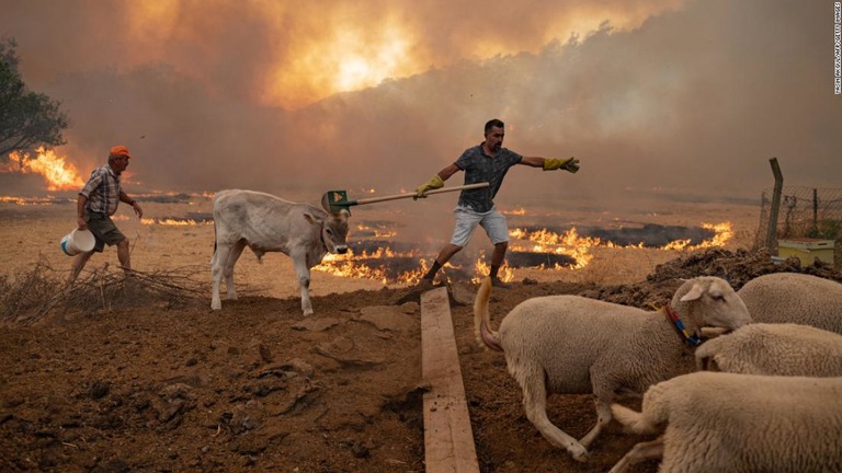 家畜を火事から非難させる男性ら＝２日、トルコ・マルマリス/YASIN AKGUL/AFP/Getty Images