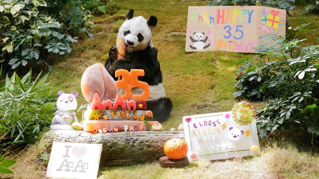 Cnn Co Jp 安安 が３５歳に 雄の飼育パンダでは史上最高齢 香港海洋公園