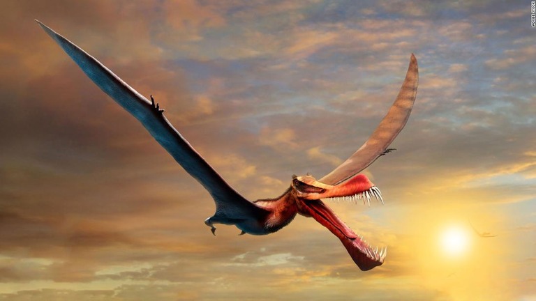 オーストラリアで化石が見つかった「ドラゴン」さながらの翼竜の想像図/Adobe Stock
