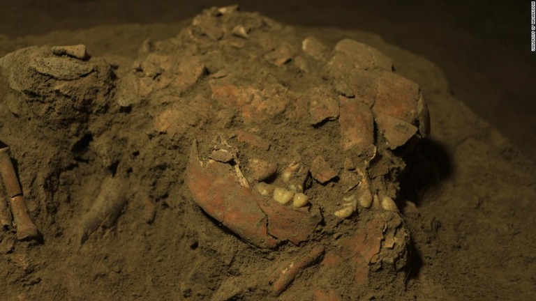 頭蓋骨の残骸の一部からＤＮＡが採取された/University of Hasanuddin