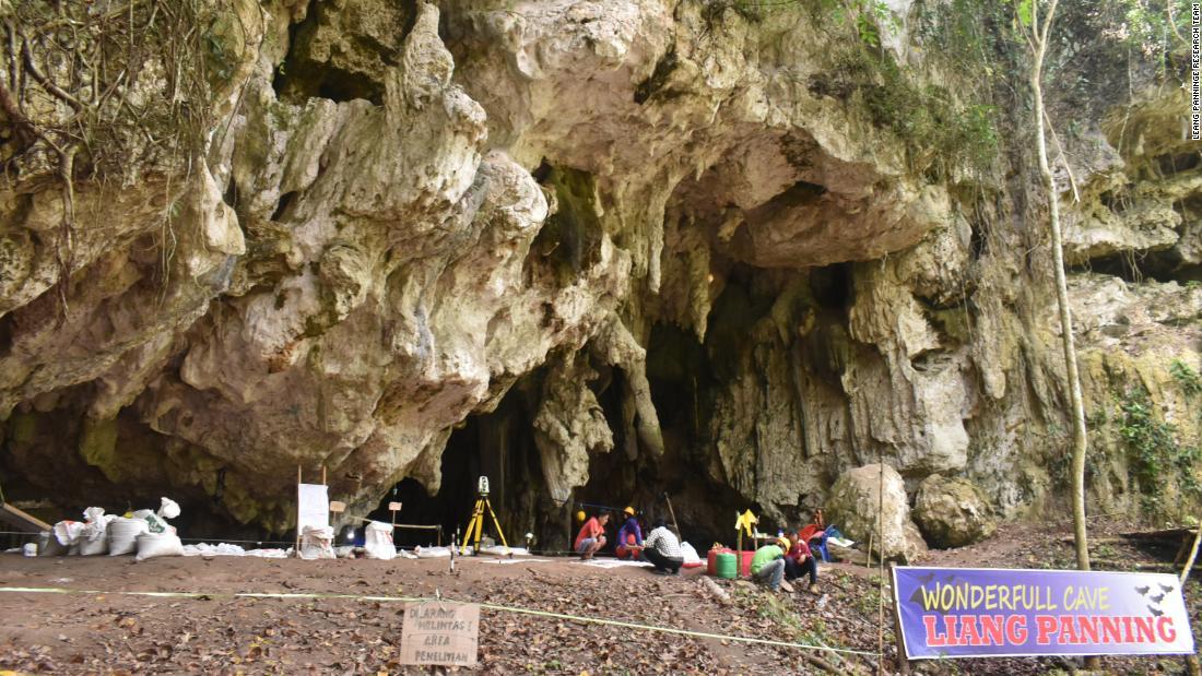 女性の骨が発見されたスラウェシ島の遺跡/Leang Panninge Research Team