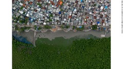 マングローブの繫茂する印アンドラプラデシュ州の湿地