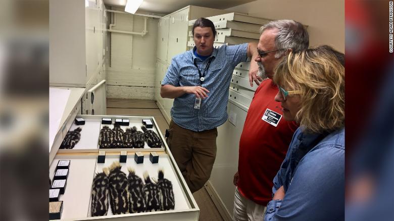 収集した標本を眺めるアダム・ファーガソン氏（左端）ら研究チーム/courtesy Adam Ferguson