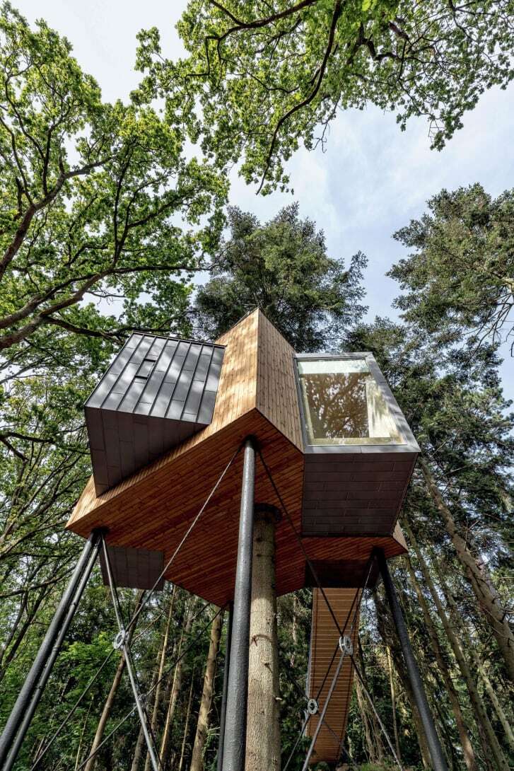 Løvtag Treetop Cabins/Courtesy of Images Publishing Group