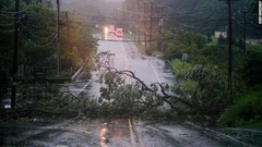 倒木が道をふさぐ＝１日、ペンシルベニア州プリマスミーティング