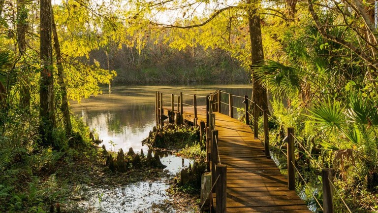 「北米のアマゾン」の異名をとるフロリダ州南部の公園は、大自然の魅力であふれている/Alex Holder/Alamy