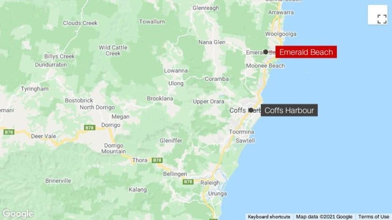 オーストラリア東海岸のエメラルドビーチでサーフィン中の男性がサメに襲われ死亡した/Google