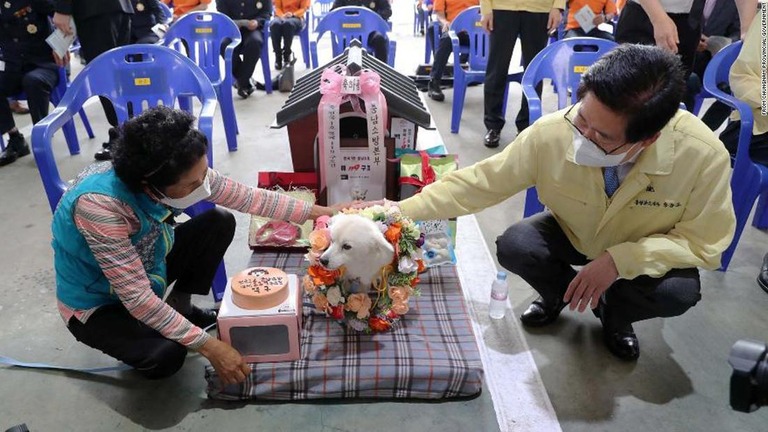 飼い主の高齢女性を救い、初の「名誉救助犬」となったペック/From Chungnam Provincial Government
