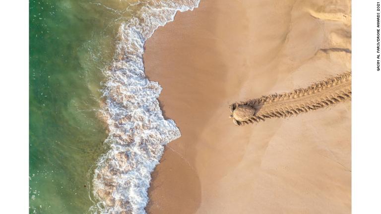 「野生生物」部門では、オマーンのカシム・アル・ファルシ氏が撮影した、産卵した後に海へ帰ろうとするアオウミガメの写真が受賞/Qasim Al Farsi/Drone Awards 2021
