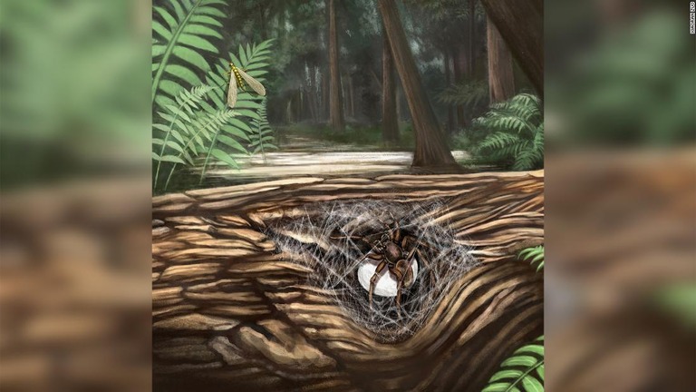石炭紀の森に暮らすクモが卵嚢を守る様子を描いたイラスト/Xiaoran Zuo
