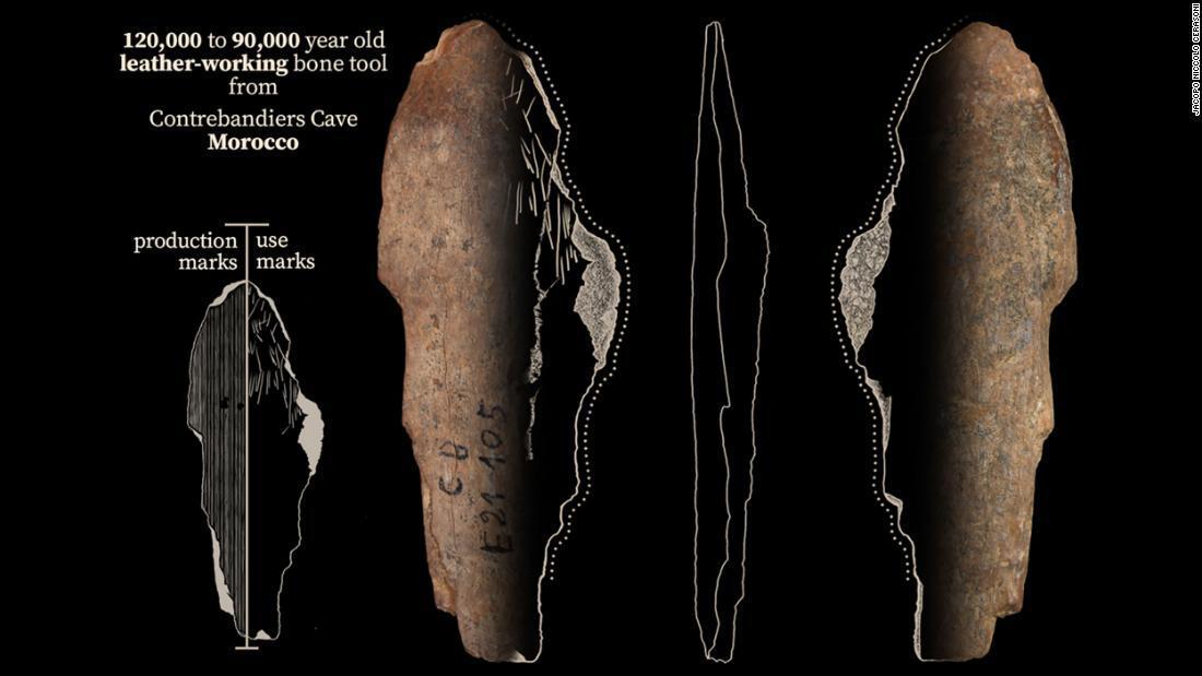 洞窟から出てきた骨角器。９万～１２万年前に皮仕事で使われた/Jacopo Niccolò Cerasoni