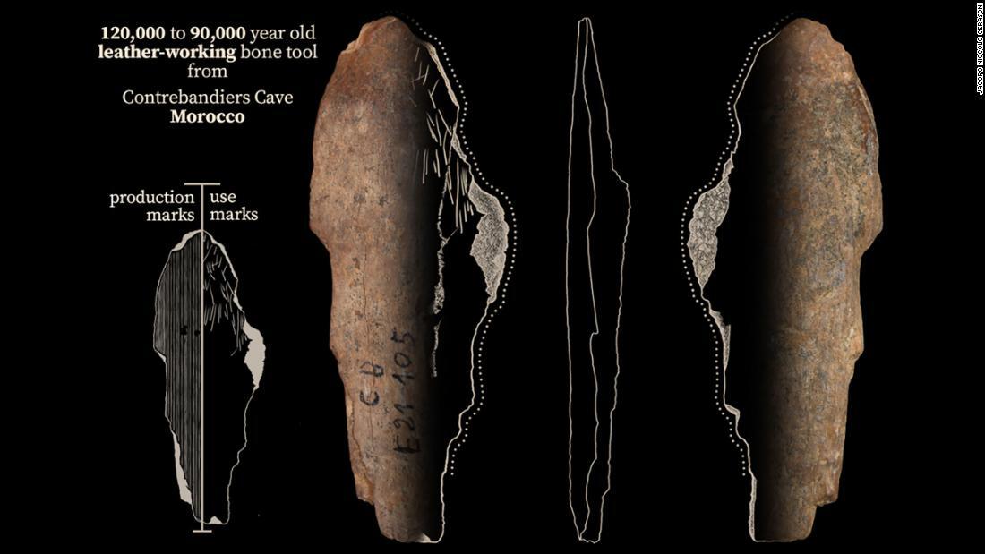 洞窟から出てきた骨角器。9万~12万年前に皮仕事で使われた/Jacopo Niccolò Cerasoni