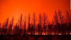 森林火災多発の北半球、二酸化炭素の放出量が過去最高を記録