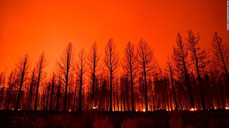 山火事が発生した米カリフォルニア州ジェーンズビル近郊＝８月１７日/Patrick T. Fallon/AFP/Getty Images