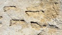 人類の北米到達、当初の見方よりはるか前　２万年余前の足跡化石から判明