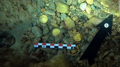 アマチュアのダイバー、古代ローマの硬貨を大量発見　スペイン東部沖