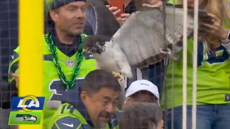 観客の頭上に舞い降りるシアトル・シーホークスのマスコット「テイマ」/From NFL