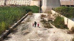 さまよう４歳と６歳の姉妹、米国境警備隊が発見し保護　アリゾナ州