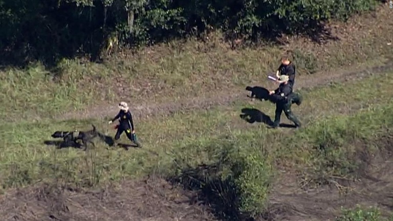 死体捜索犬による捜索が行われた＝２０日、米フロリダ州ノースポート・カールトン保護区/WFTS
