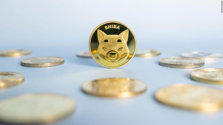 暗号資産（仮想通貨）の「柴犬コイン」が史上最高値を記録した/salarko/Alamy