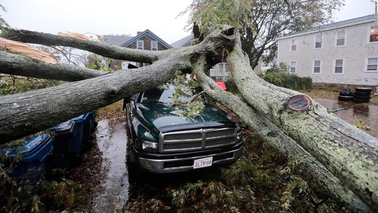 木が倒れ、乗用車に直撃した＝２７日、米マサチューセッツ州フェアヘイブン/Peter Pereira/AP