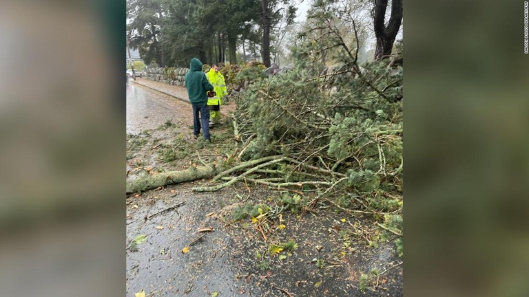なぎ倒された木＝２７日、米マサチューセッツ州モールデン/Malden Police Department