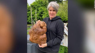 ニュージーランドの夫婦が偶然育てた巨大ジャガイモの「ダグ」