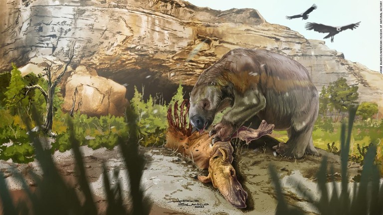 南米に生息していた巨大な古代の地上性ナマケモノが、草食動物マクラウケニアの死骸を食べている姿を描いた想像図/Jorge Blanco/American Museum of Natural History