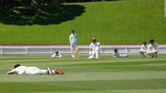 ハチの大群が球場に襲来、クリケット試合中断　ニュージーランド