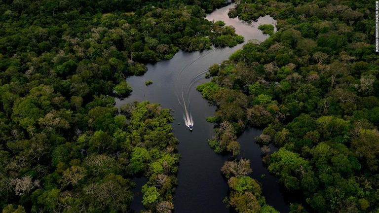 アマゾン熱帯雨林の中心にある都市カラウアリを流れるジュルア川を空撮＝２０２０年３月１５日/Florence Goisnard/AFP/Getty Images