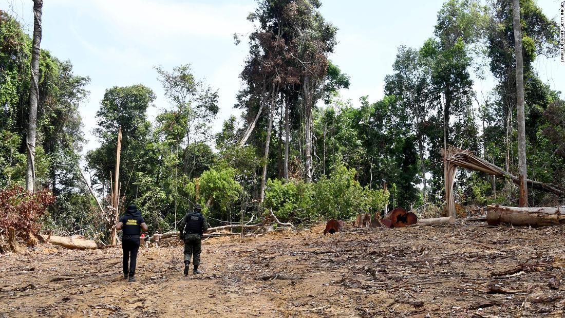 アマゾン森林の消滅 今年１０カ月で３３ 増 過去１０年で最悪 Cnn Co Jp