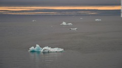 北極海の温暖化、従来の考察より数十年早く開始　新研究