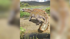 Cnn Co Jp チリ のニュース