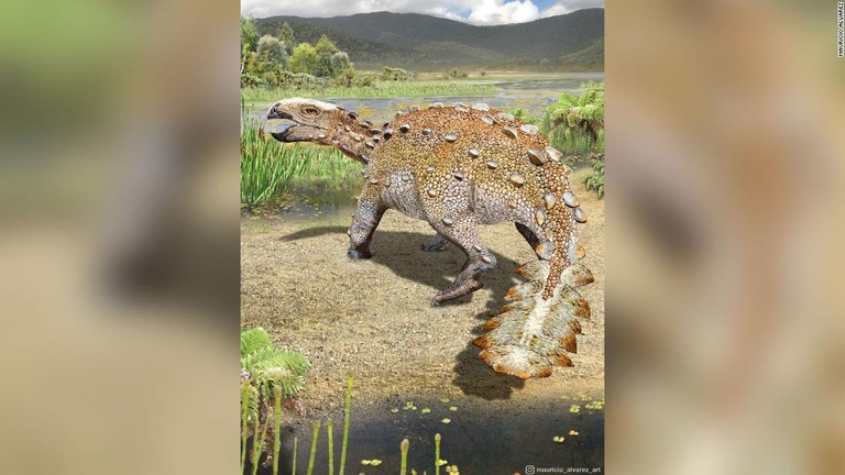 装甲に覆われた恐竜の新種「ステゴウロス・エレンガッセン」/Mauricio Alvarez