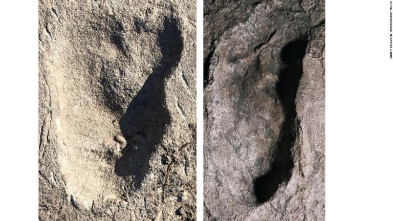 新たに調査した足跡（左）とアウストラロピテクス・アファレンシスの足跡（右）/Jeremy DeSilva/Eli Burakian/Dartmouth
