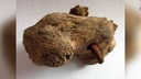 古代ローマ時代のはりつけの刑か、かかとに釘刺さった骨格発見　英