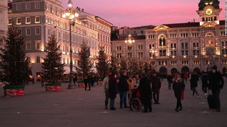 イタリア・トリエステの広場に並ぶクリスマスツリー＝１２日