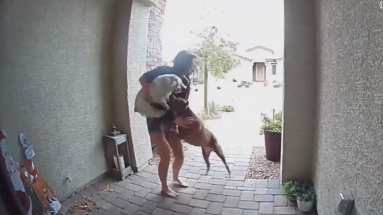飼い犬を抱えた状態で野良犬に襲われるローレンさん。この後配達員が助けに現れる/KVVU