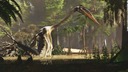 「史上最大の翼竜」は大きなジャンプで飛び立った　米研究