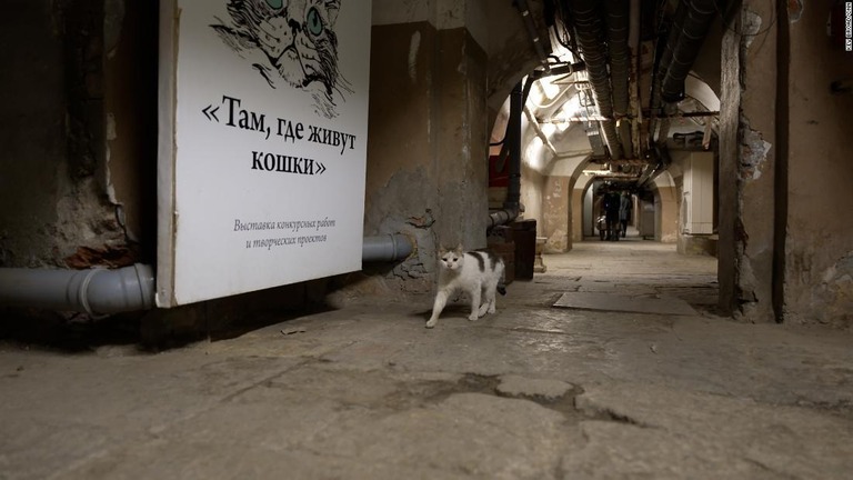 ネズミを探して美術館の地下を歩く猫/Kev Broad/CNN