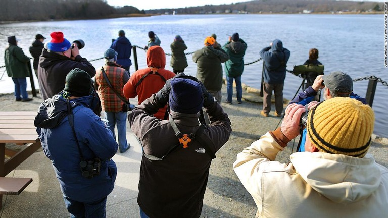 珍しいオオワシの姿を一目見ようと集まった人々/John Tlumacki/The Boston Globe/Getty Images