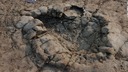 ２億年前の恐竜の足跡か、英国の浜辺で発見　三畳紀の竜脚類の可能性