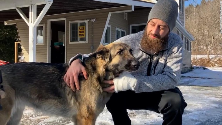 「名犬ラッシー」さながらの賢さで飼い主の窮地を救ったティンズリー/WPTZ, NHSP/ New Hampshire State Police