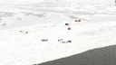 湖岸から氷塊が分離、取り残された３４人救助　ミシガン湖の湾