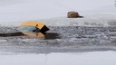 凍った川に沈む車、住民が運転手を救出　カナダ