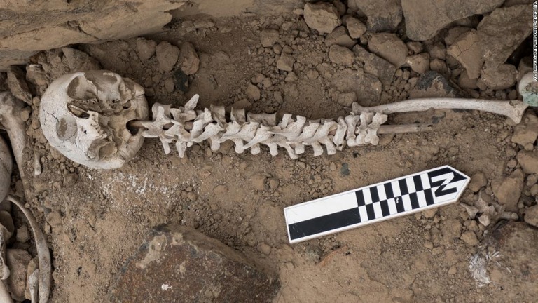 茎を通した椎骨は、頭蓋に差し込まれた状態で発見された/J.L. Bongers/Antiquity Publications Ltd.